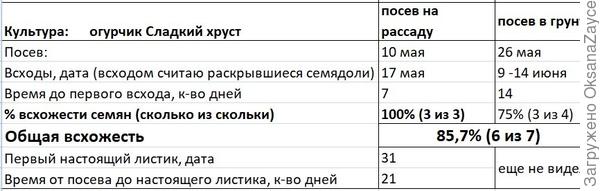 Основные сроки первого этапа