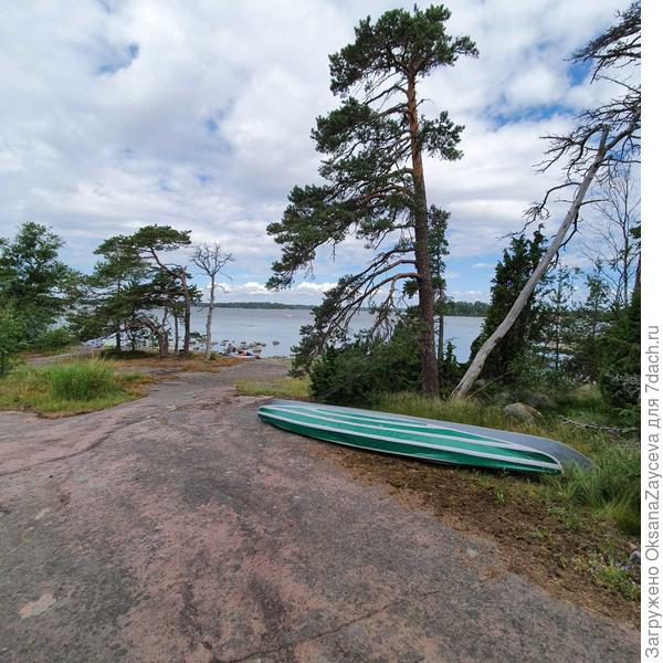 Провели День рождения на природе