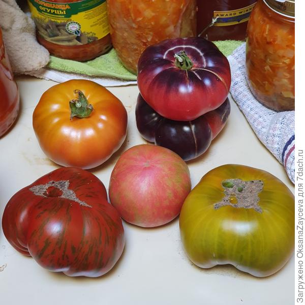 мои бифы этого сезона