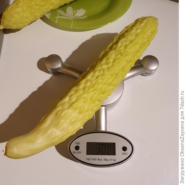 29 июля Второй Змей на 300 грамчиков