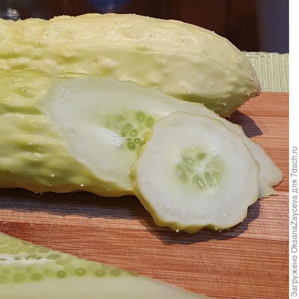 10 августа Белый змей