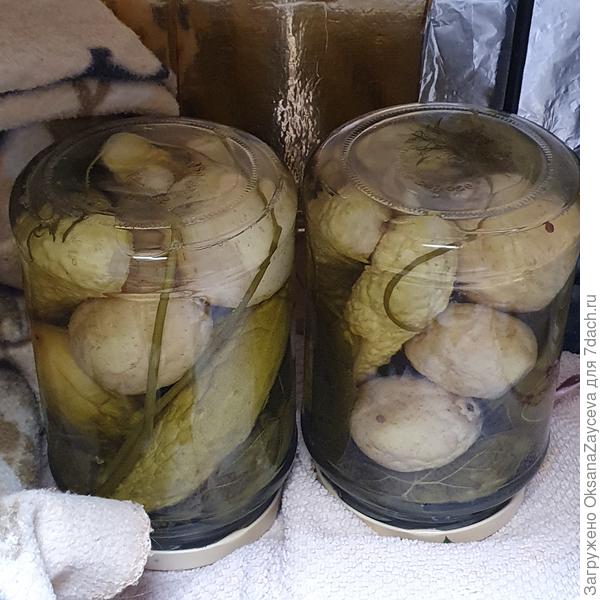 Вкусняшки для сыночка Сашки на зиму