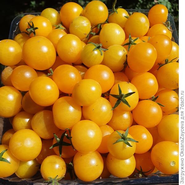 Вкусняшка!