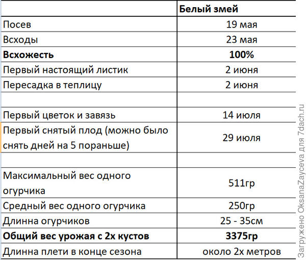 Основные сроки