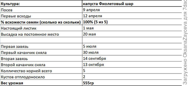 Основные цифры этапов