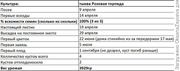 Сроки этапа