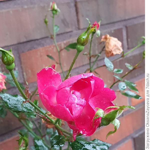 Ваще не в курсе!