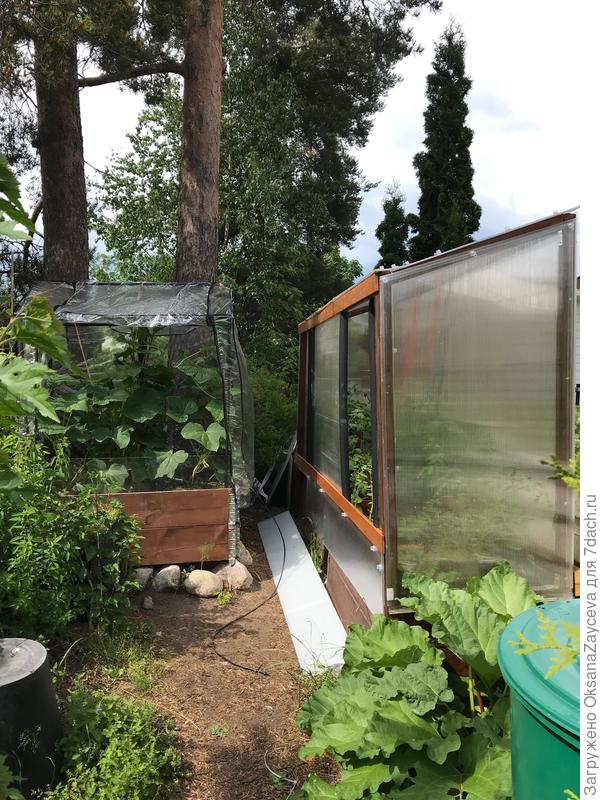 А это теплички около дома, тоже слезы