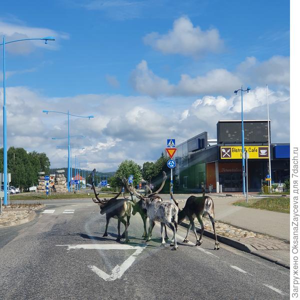 Городок Ивори, все в порядке вещей!