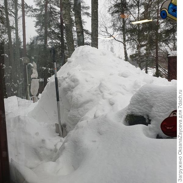 Я такого за всю свою жизнь не помню! Наслаждаемся!