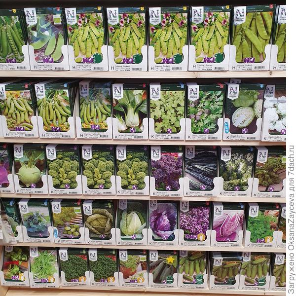 Вся капуста, снизу пара сортов огурца