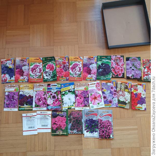 Планы... смайлик ржет и рыдает одновременно...