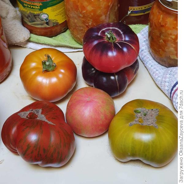 Всякие разные