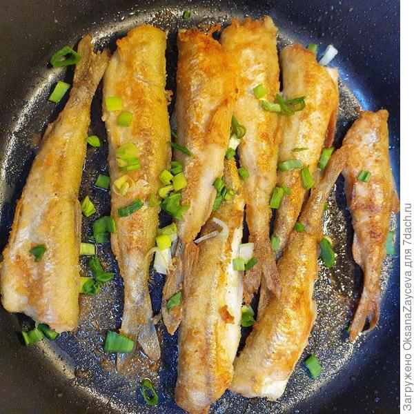 С лучком
