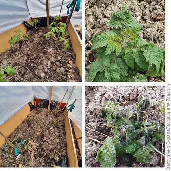 сюрплиз от 10 мая прошлого  года