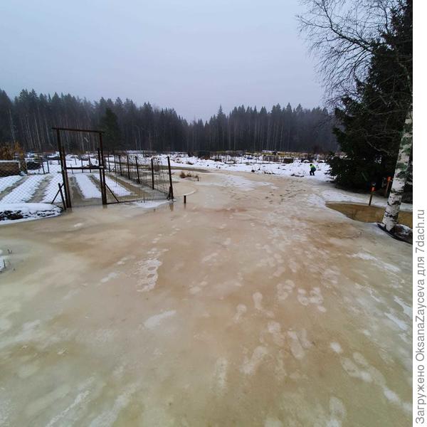 Очередная оттепель и участок где чеснок не растет :)