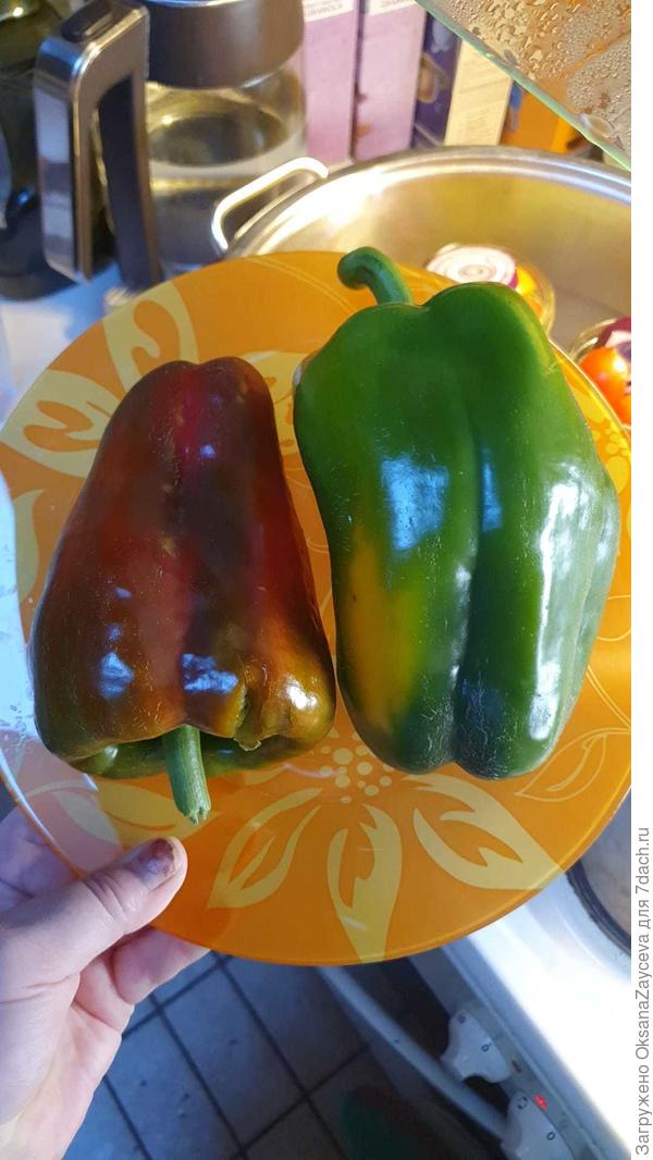 Ламуёха красная и желтая Ливадия или Звезда востока гигантская... не помню Сортотип Ламуё