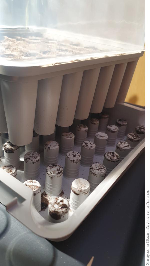 Столбики в поддоне предназначены для выталкивания кома земли вместе с растением для последующей пересадки