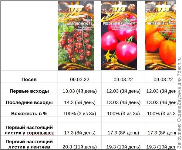 Сводная таблица