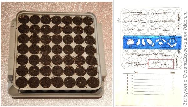 Карта посевов