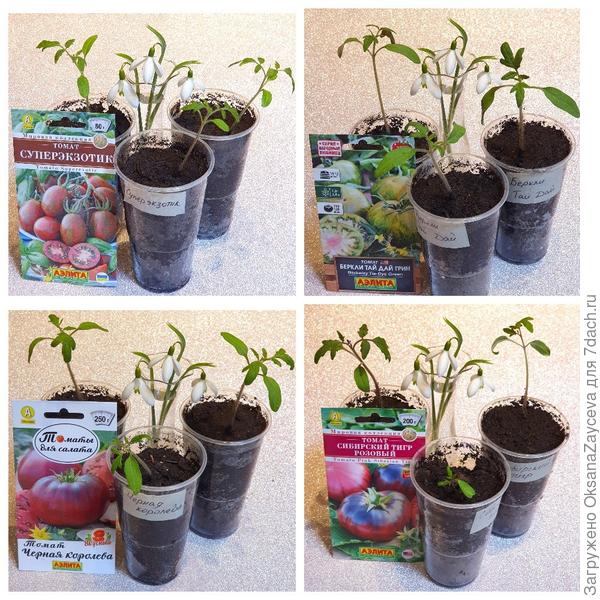 Продолжаем разговор