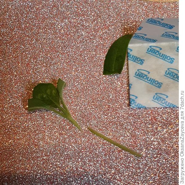 Я режу на досочке, мне так удобнее