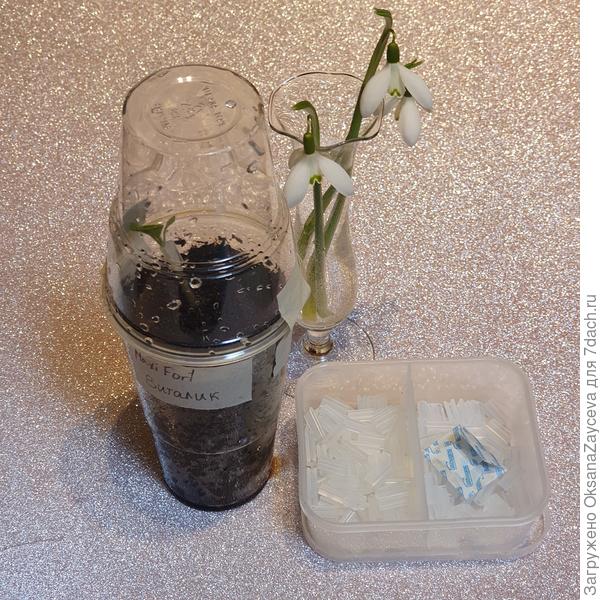 Дерзайте! И помните ! Хороший инструмент - залог успешных прививок и крепких нервов!