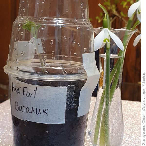 Закрыли, подписали