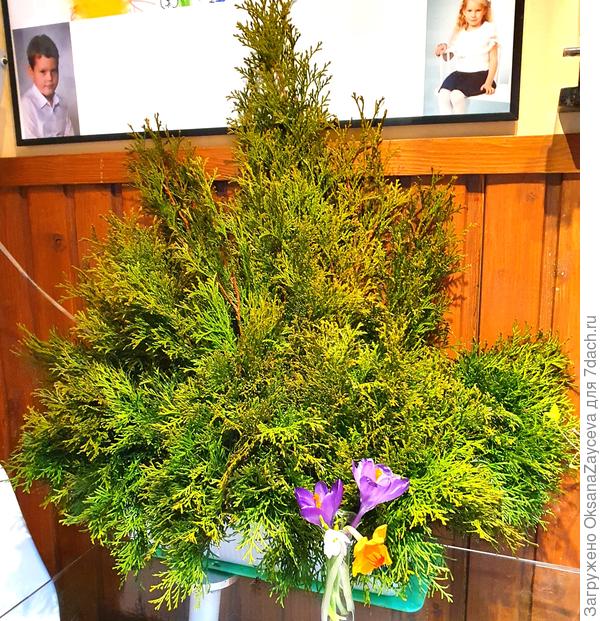 1 апреля - весна в Финляндии!