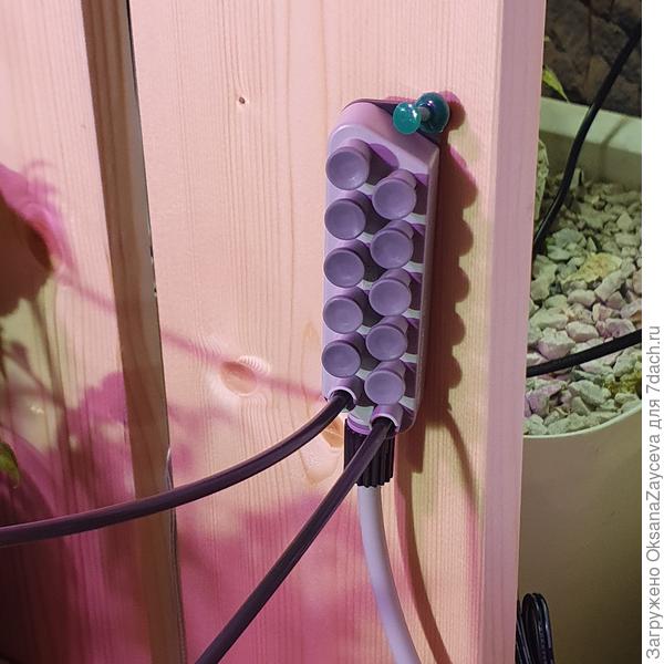 Распределитель на 12 выходов = лотков или горшков