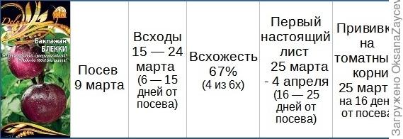 Сроки
