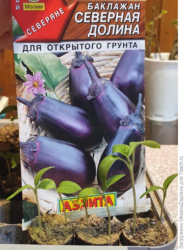25 марта
