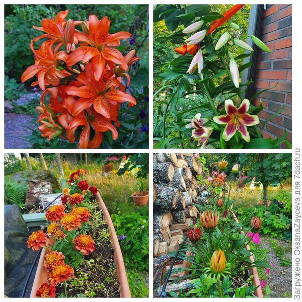 Ароматов много и все букетами :)