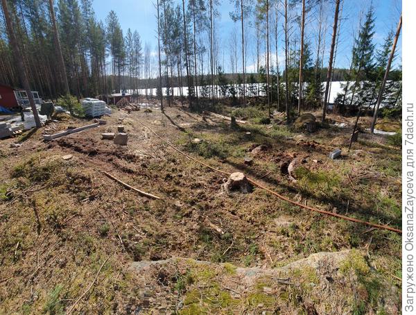 Расчищенное место под теплицу