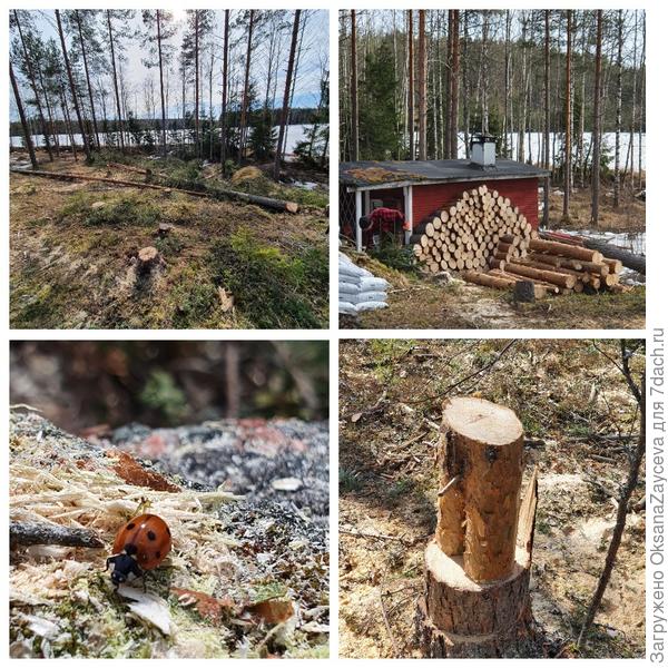 Уже и сауну почти заложили со всех сторон....