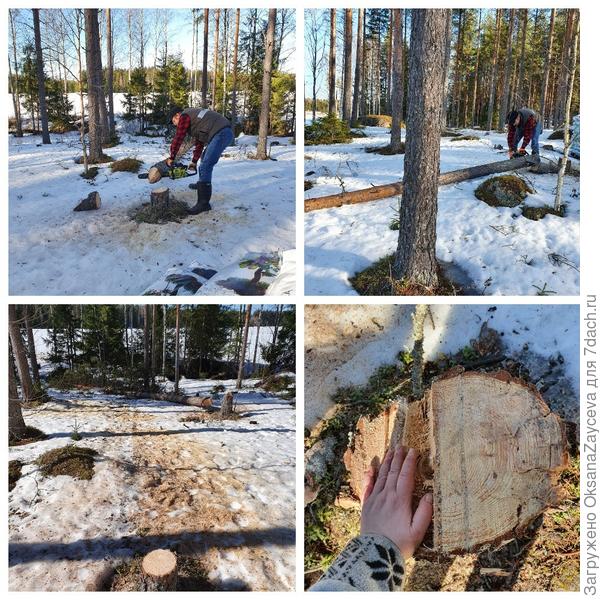 Ты помнишь как всё начиналось?... Все было впервые и вот...