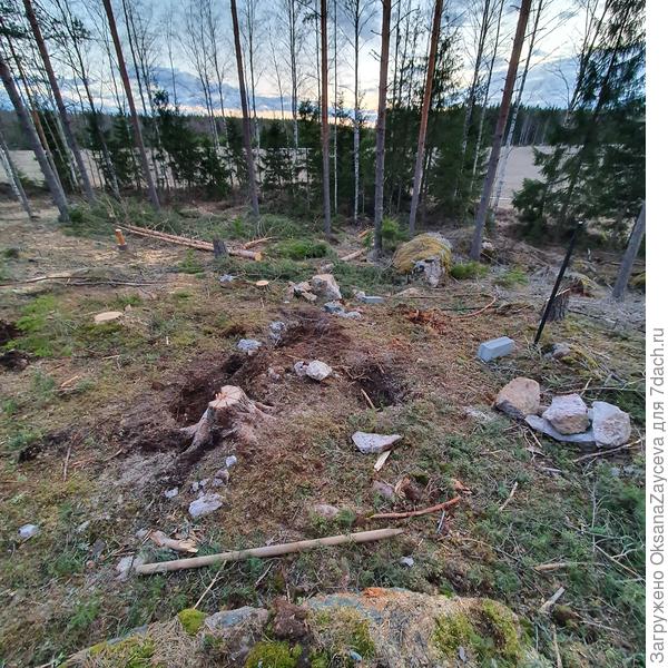 Камни, вытащенные из земли