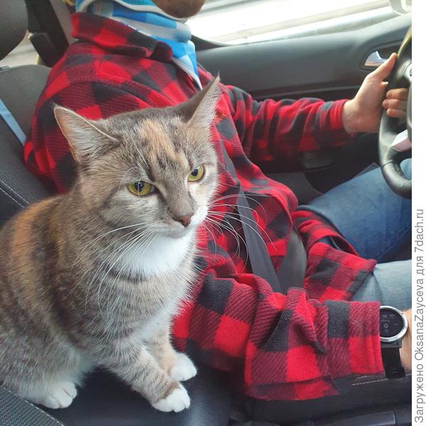 Главный охотник на рейде :)