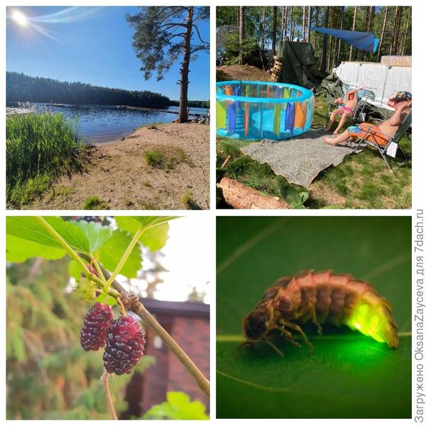 Лето в Финляндии