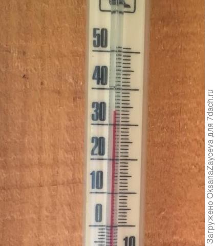 Да и погода не подвела! Хоть и всего на 2 недели