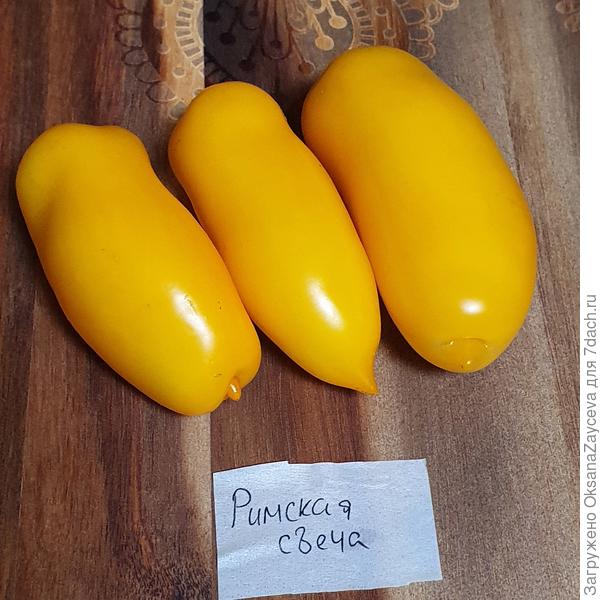 мои красавцы