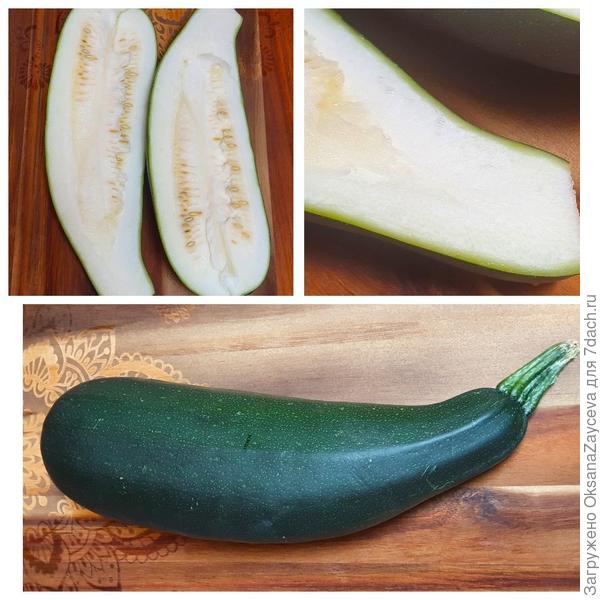 Кабачок Стахановец