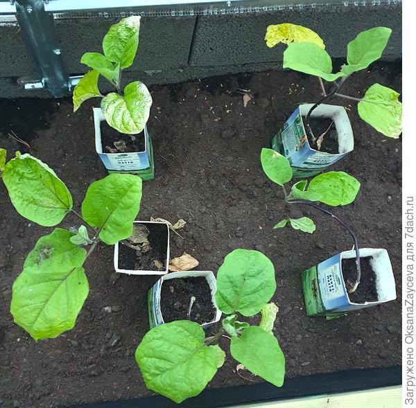 18 июня Северная долина