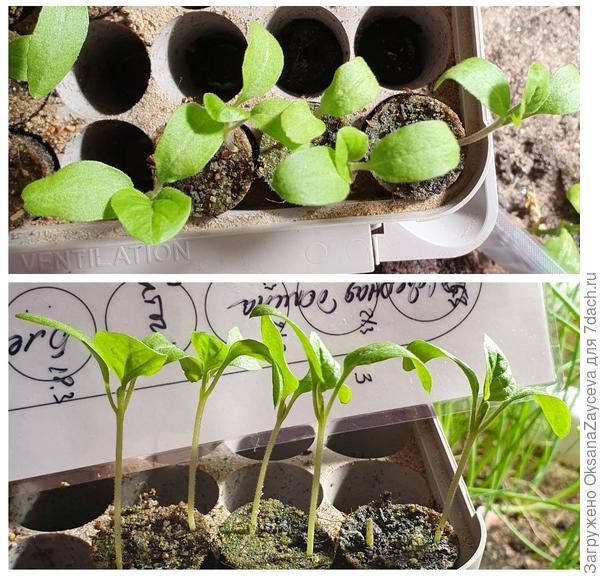 2 апреля Северная долина