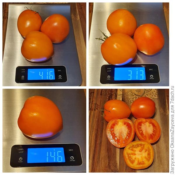 Янтарный купол