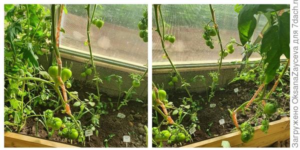 14 августа, слева Розовые вершины, справа Янтарный купол