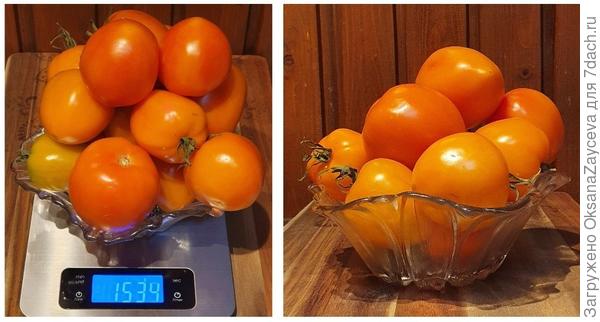 Янтарный купол