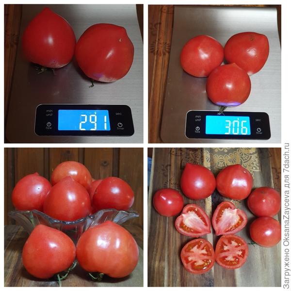 Розовые вершины