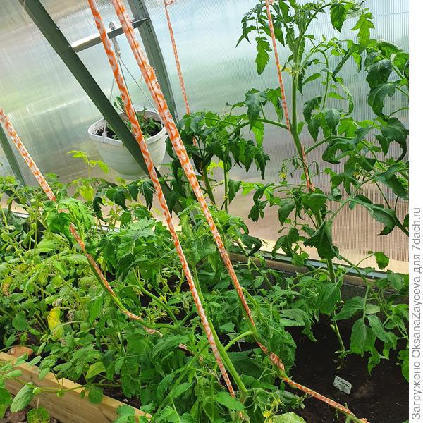 Деты выросли в 2 раза выше