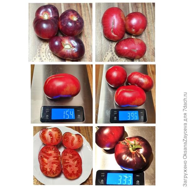 Сибирский тигр розовый